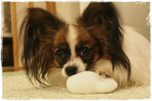 20131024_184740.JPG