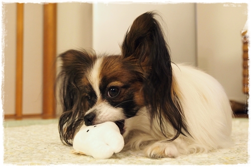 20131024_184758.JPG