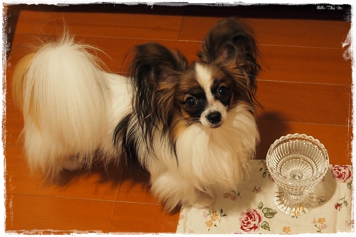 20131025_185512.JPG