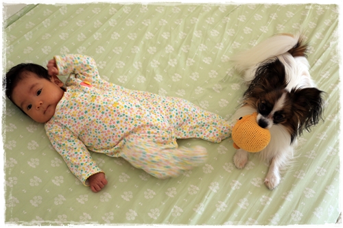 20131108_093409.JPG