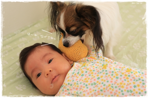 20131108_093728.JPG