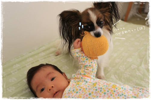 20131108_093732.JPG