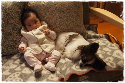 20131114_164918.JPG