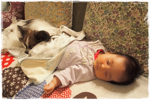 20131117_172151.JPG