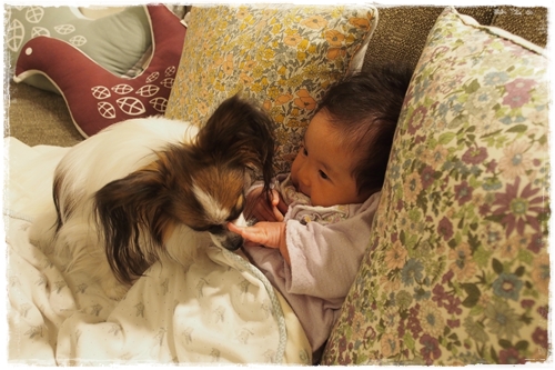 20131117_180719.JPG