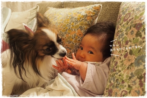 20131117_180808.JPG