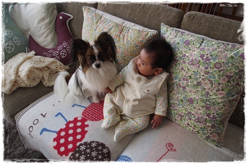20131119_153345.JPG