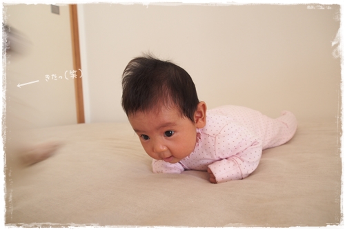 20131122_103234.JPG