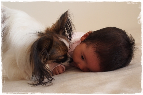20131122_103636.JPG