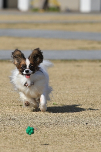 20131130_121557_01.JPG
