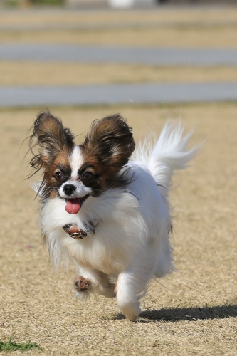20131130_121606_06.JPG