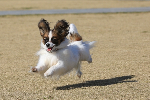 20131130_121607_01.JPG