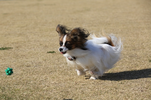 20131130_121607_04.JPG