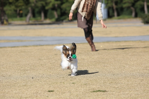 20131130_121724_01.JPG