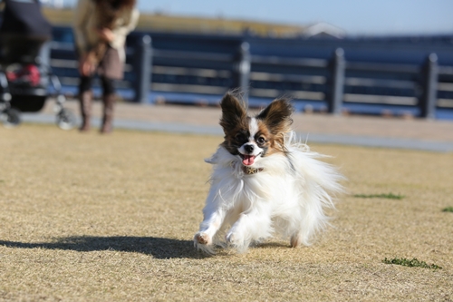 20131130_122602_03.JPG