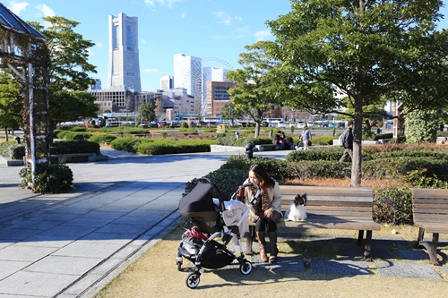20131130_123718.JPG