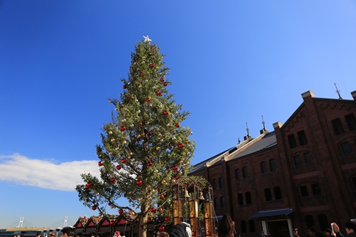 20131130_124459.JPG