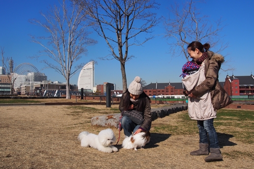 20140111_120507.JPG