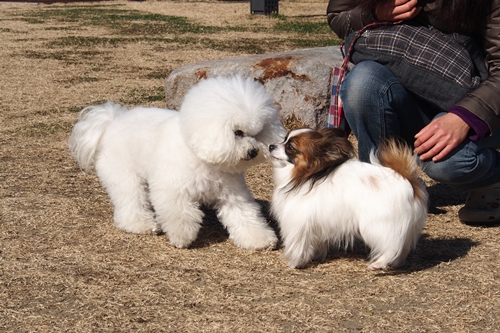 20140111_120513.JPG