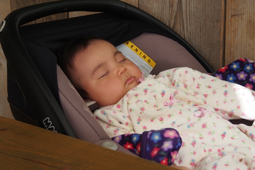 20140111_133519.JPG