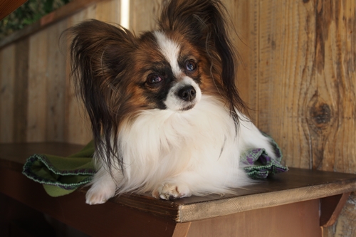 20140111_140040.JPG