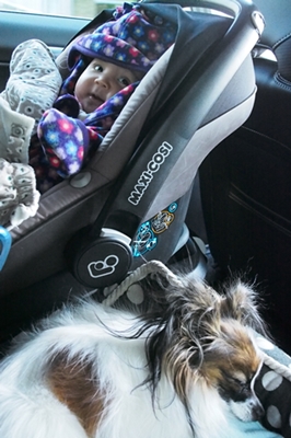 20140111_141420.JPG