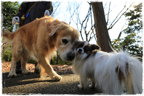 20140112_131339.JPG