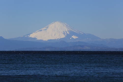 20140119_122400.JPG