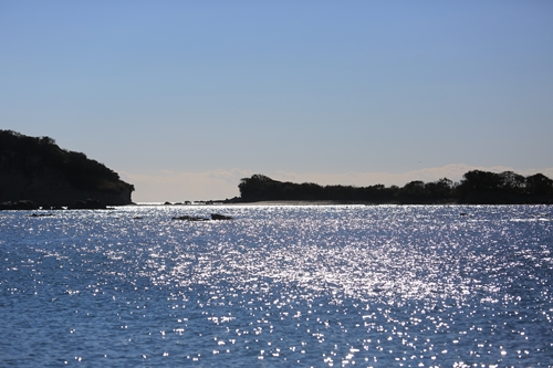 20140119_122939.JPG