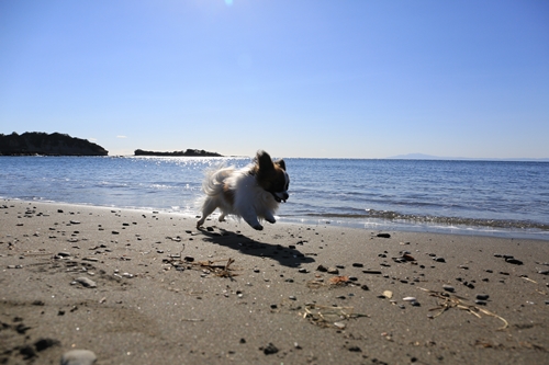 20140119_125617_02.JPG