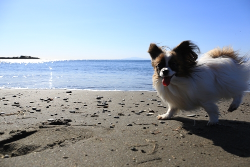 20140119_125626.JPG