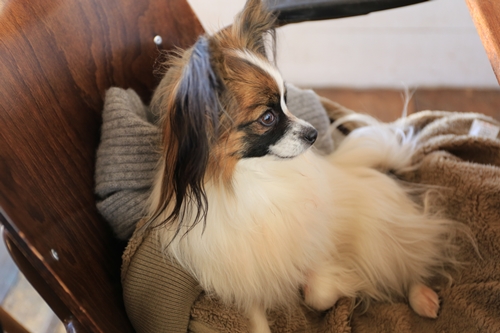 20140119_143052.JPG