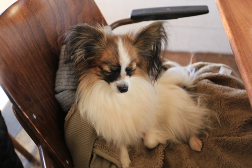 20140119_143102.JPG