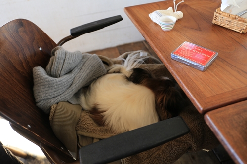 20140119_144733.JPG