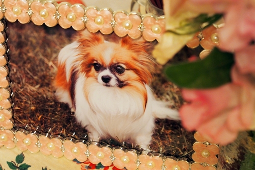 20140126_223035.JPG