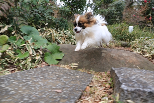 20140125_131434.JPG