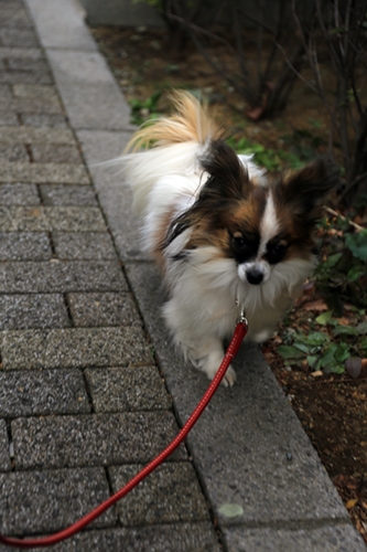 20140125_135234.JPG