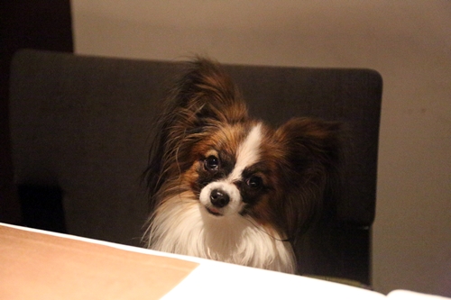 20140125_140641.JPG