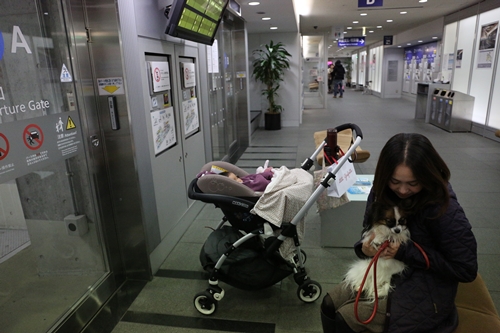 20140125_152348.JPG