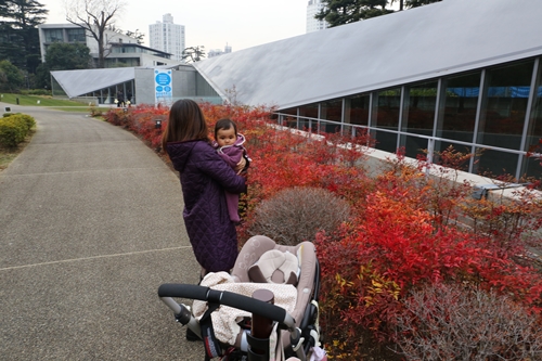 20140125_154826.JPG