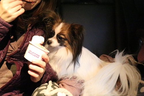 20140125_174532.JPG