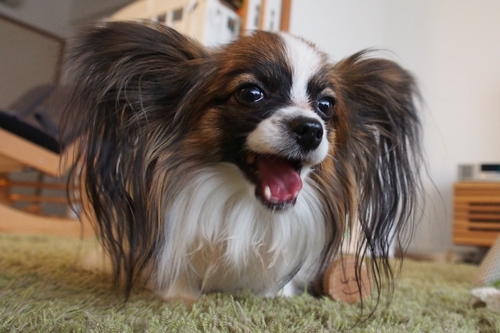 20140130_135809.JPG