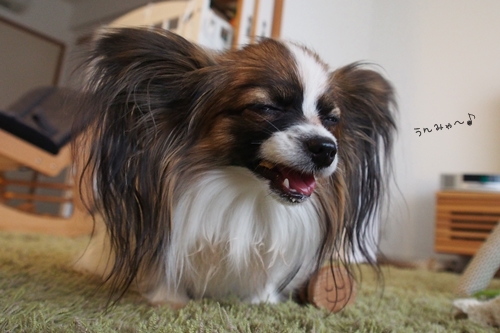 20140130_135810.JPG