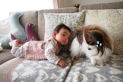 20140130_152310.JPG