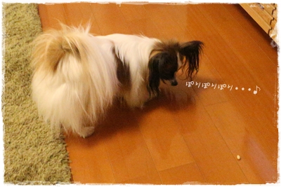 20140203_205022.JPG
