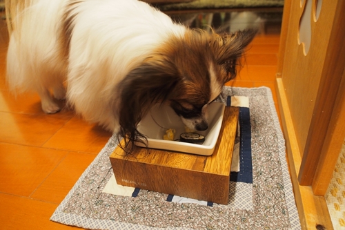 20140203_210620.JPG