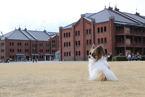 20140126_121301.JPG
