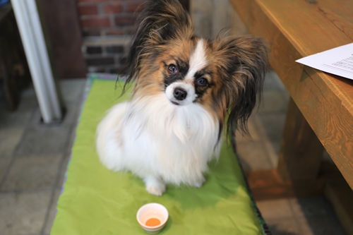 20140126_124209.JPG