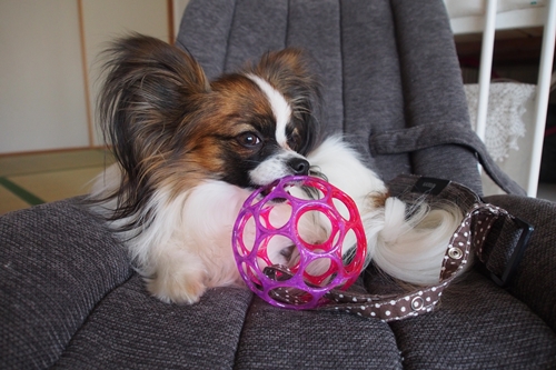 20140127_152801.JPG