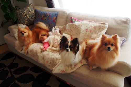 20140128_142705.JPG